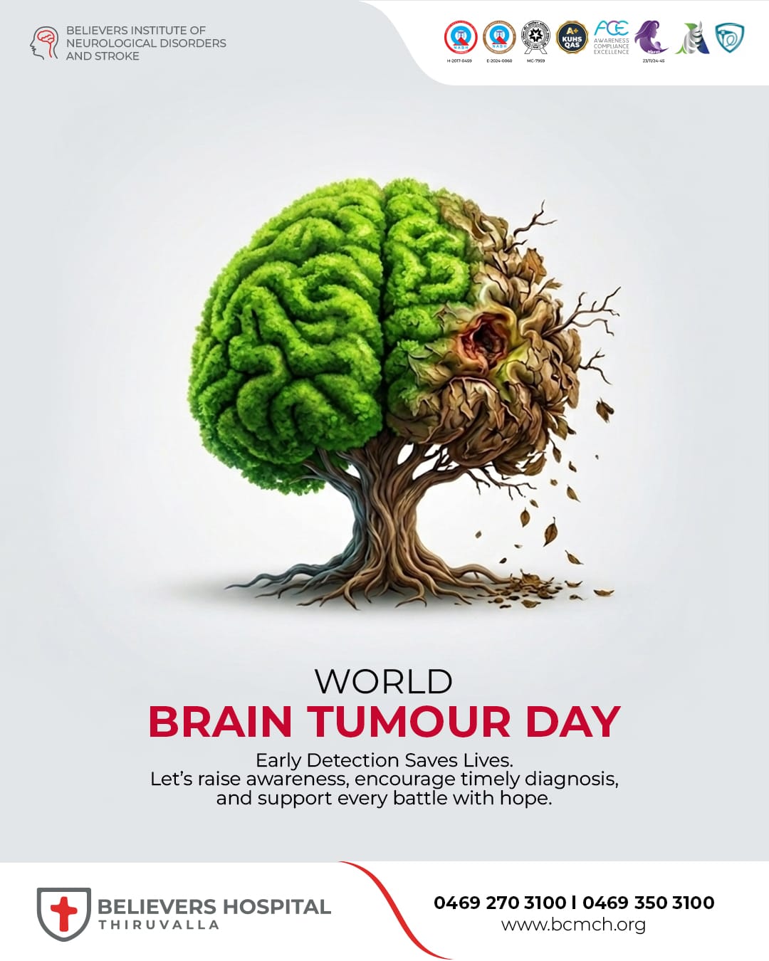 World Brain Tumour Day